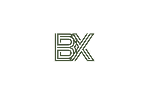 BX Studio